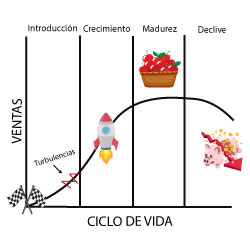 ciclo de vida