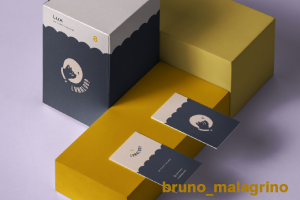 branding-bruno-malagrino